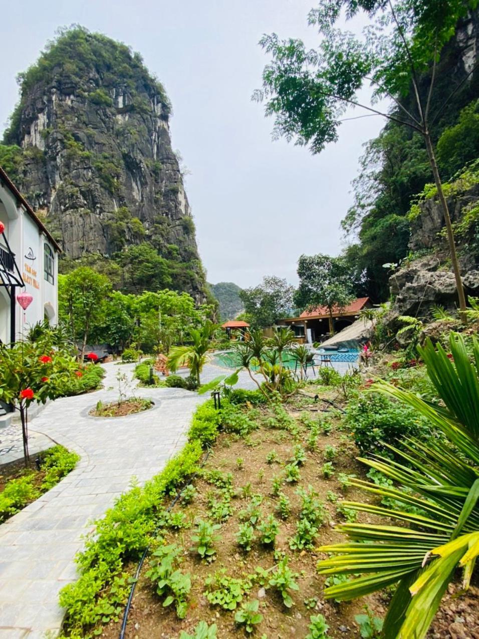 Tam Coc Galaxy Villa Ninh Bình Extérieur photo
